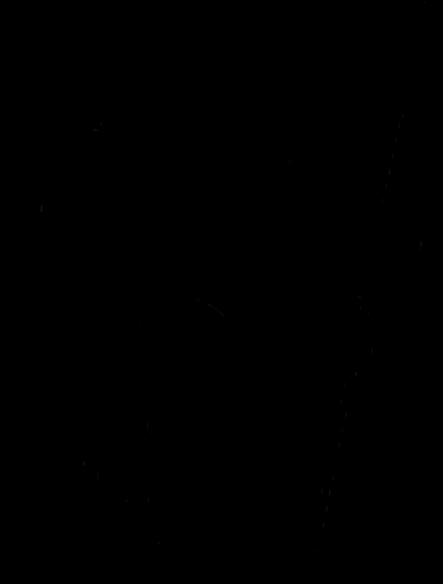 Image 38