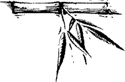 Image 69