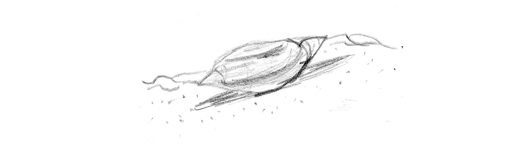 Image 28