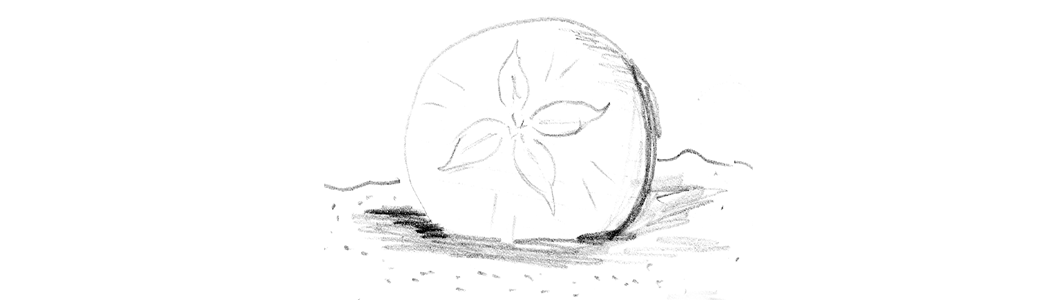 Image 32