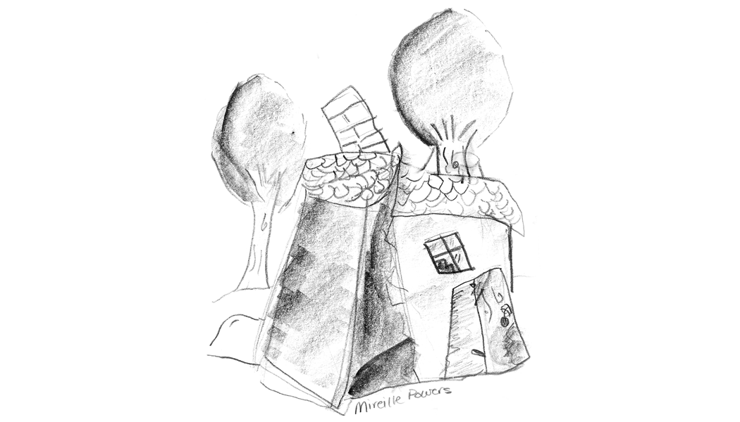 Image 16