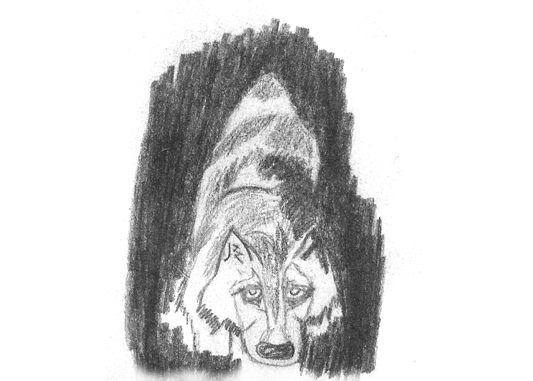 Image 45