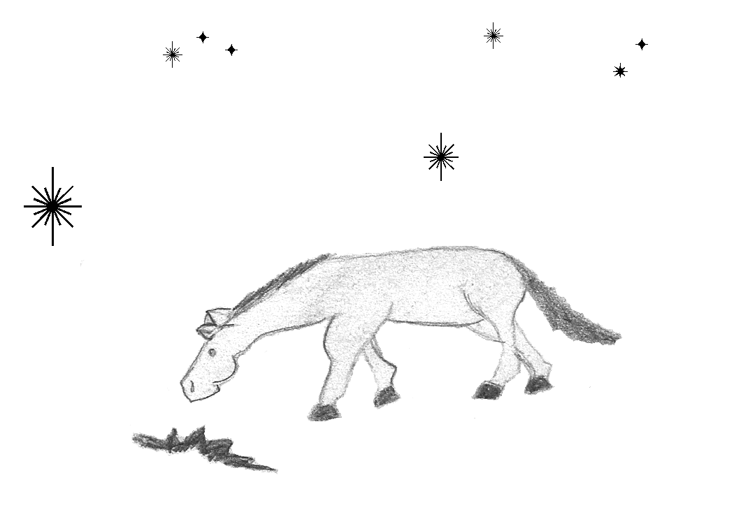 Image 13