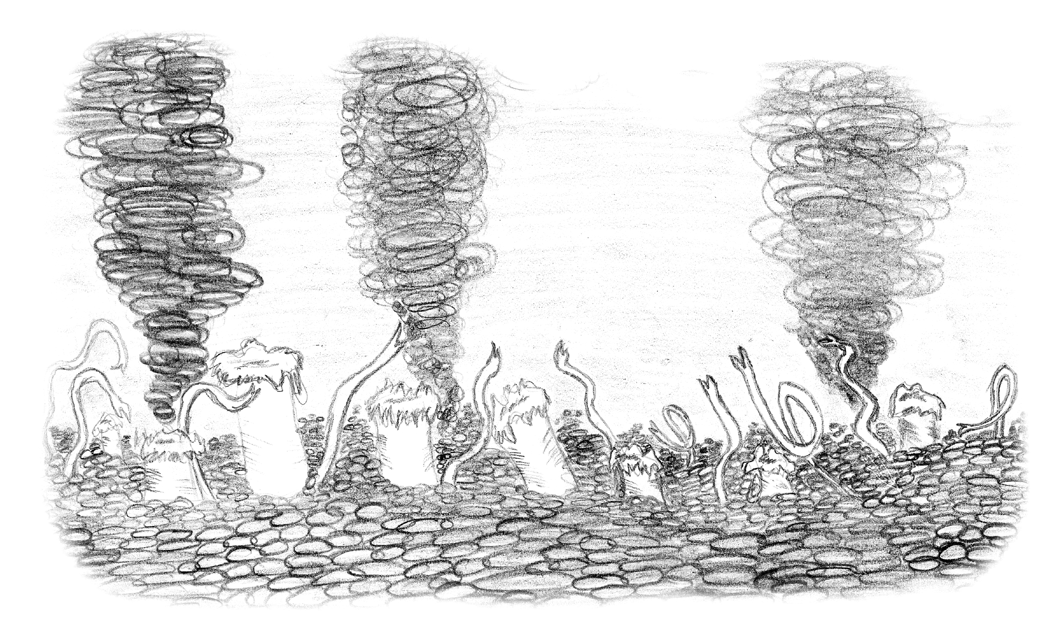 Image 26