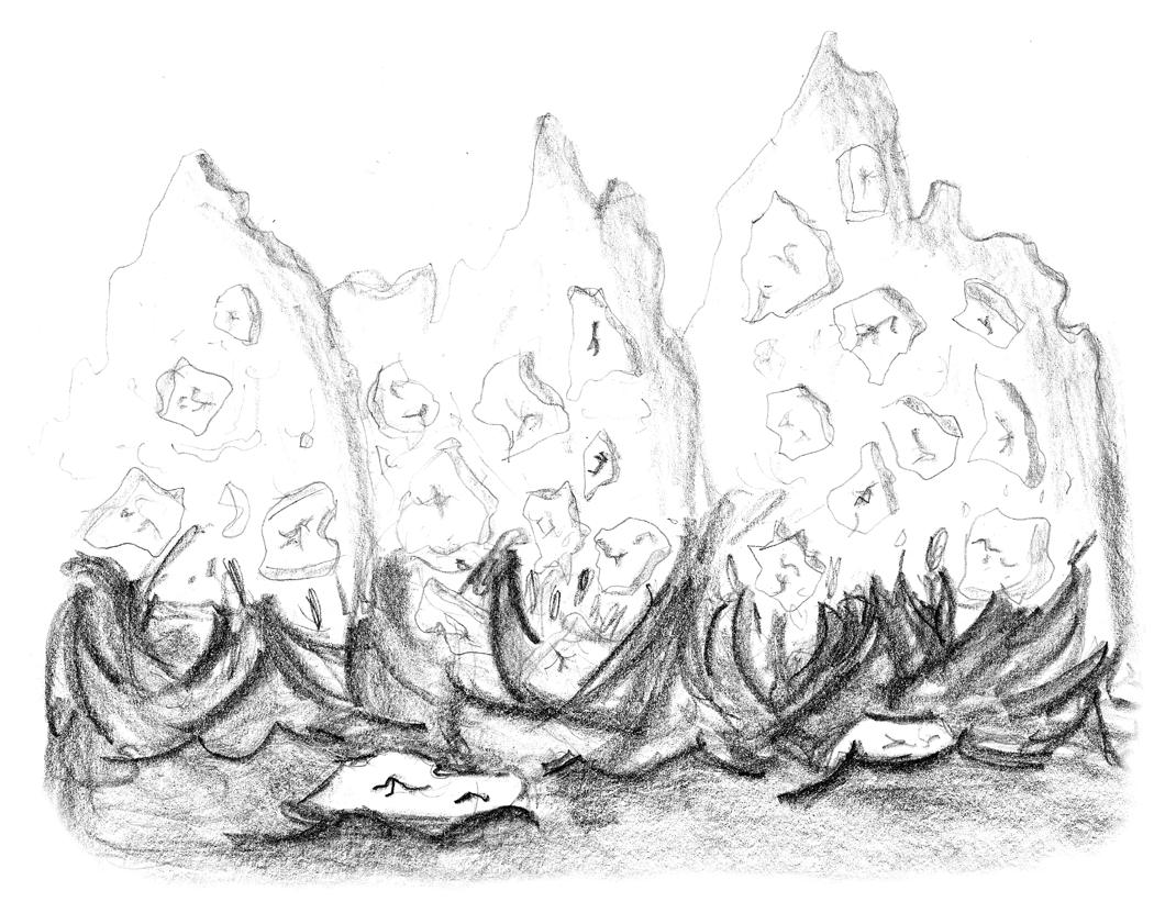 Image 39