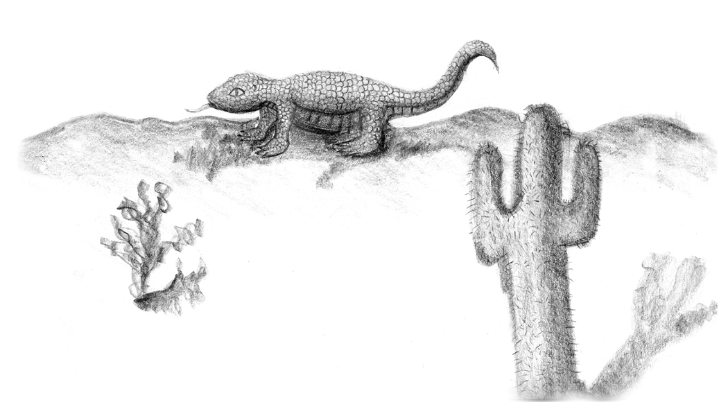 Image 18