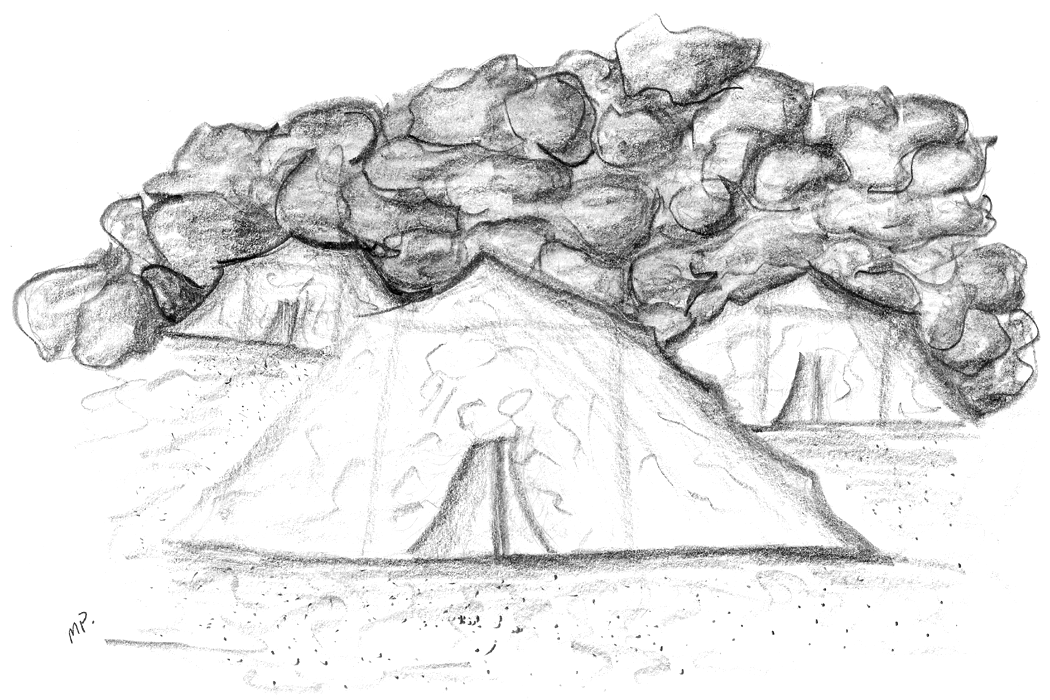 Image 22