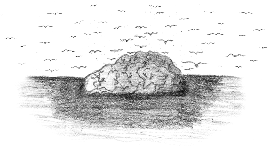 Image 24