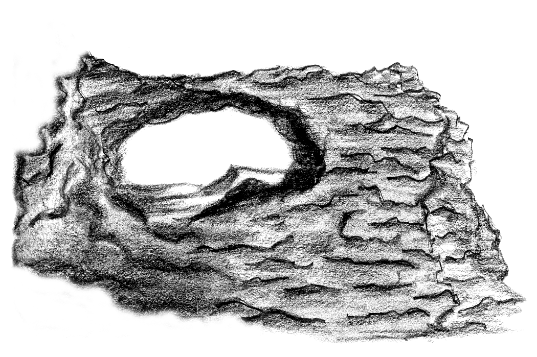 Image 32