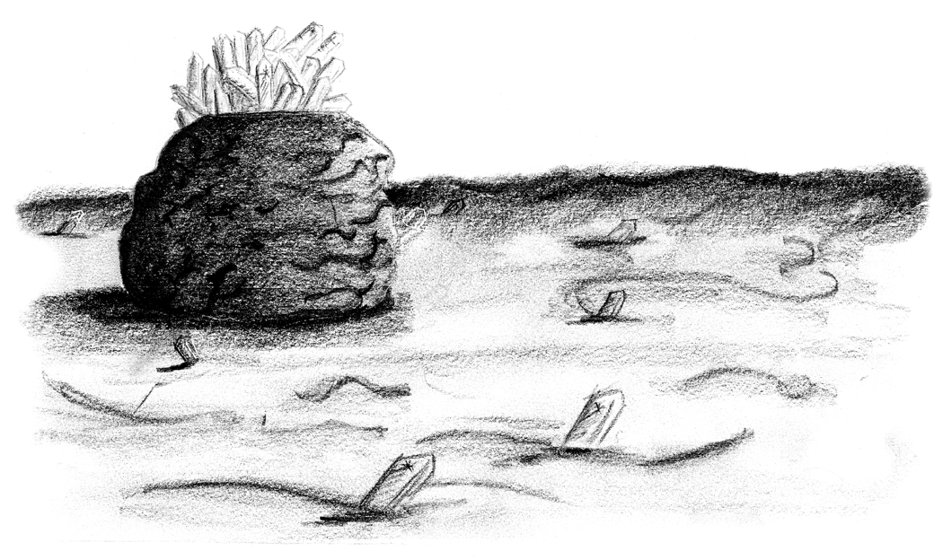 Image 35