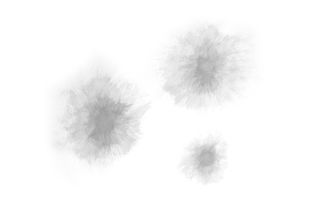 Image 13