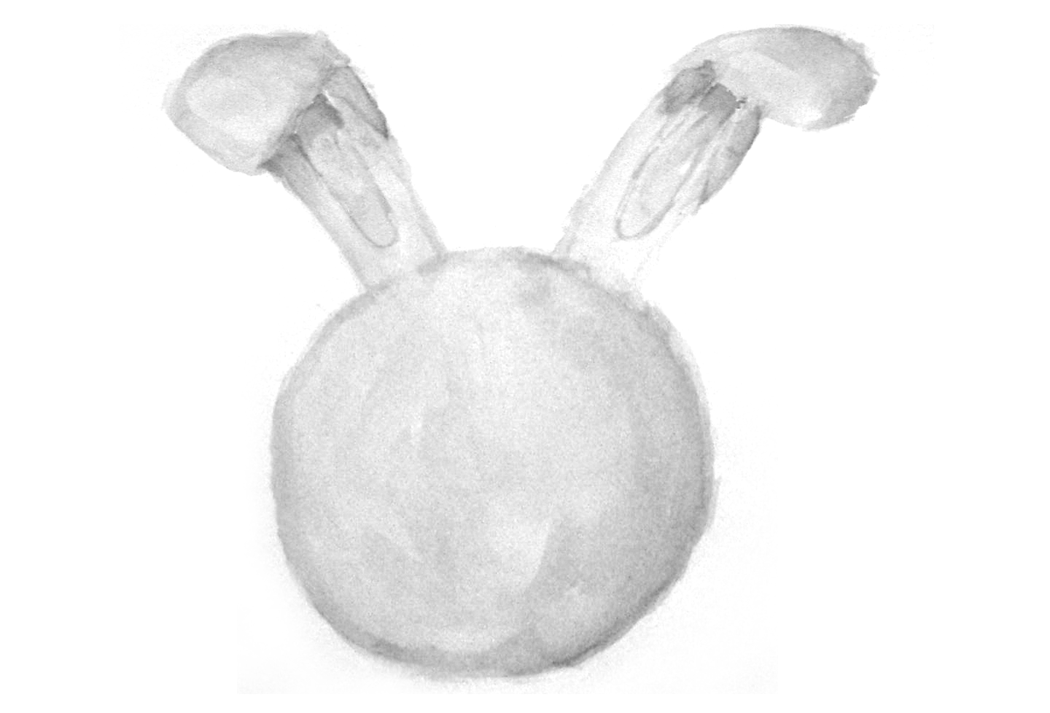 Image 16