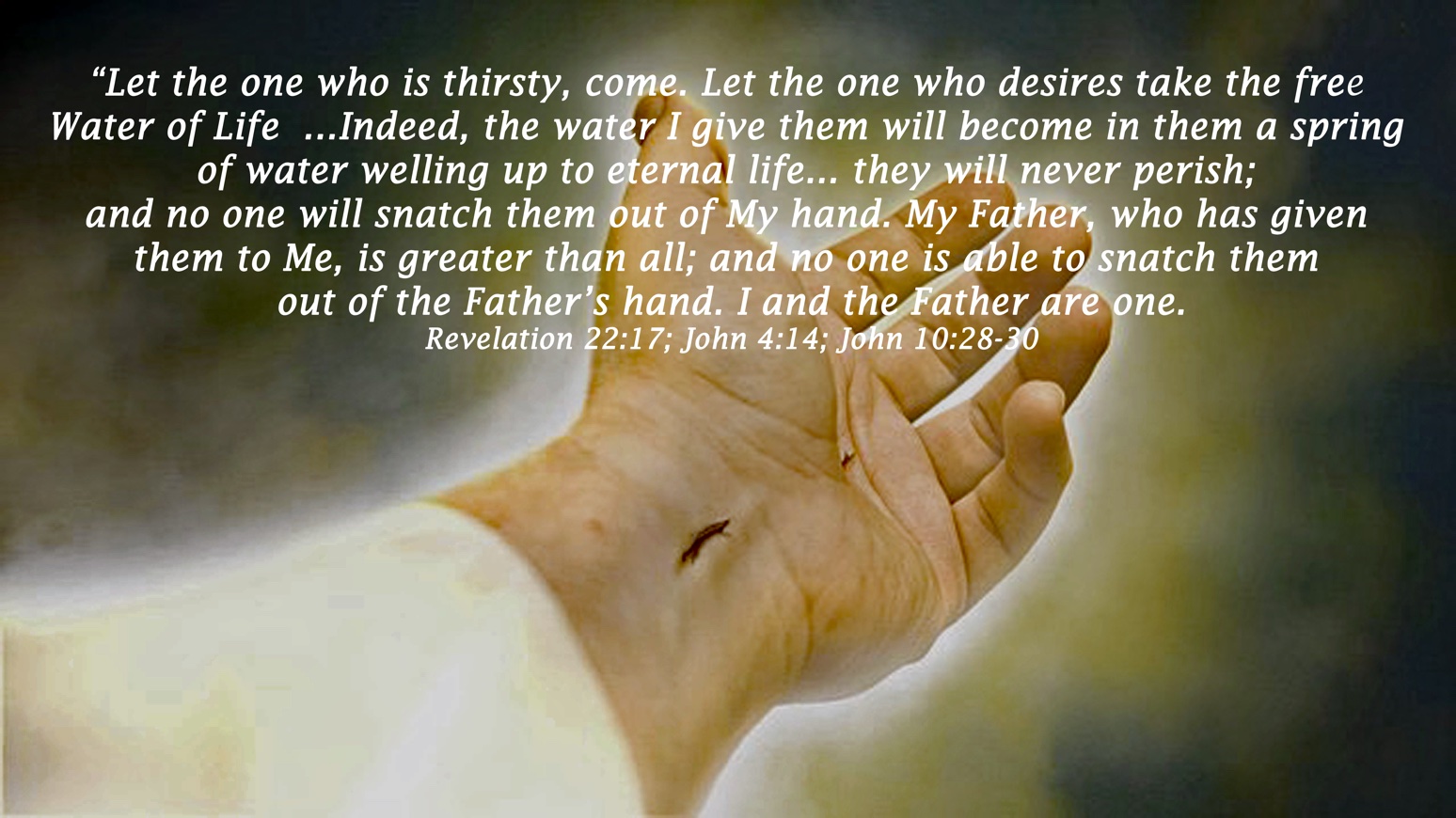 Image 209