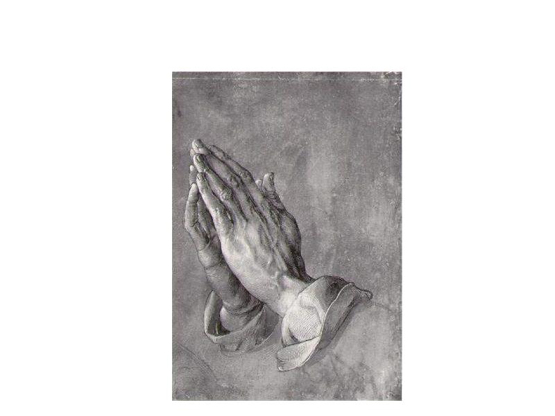 Image 269