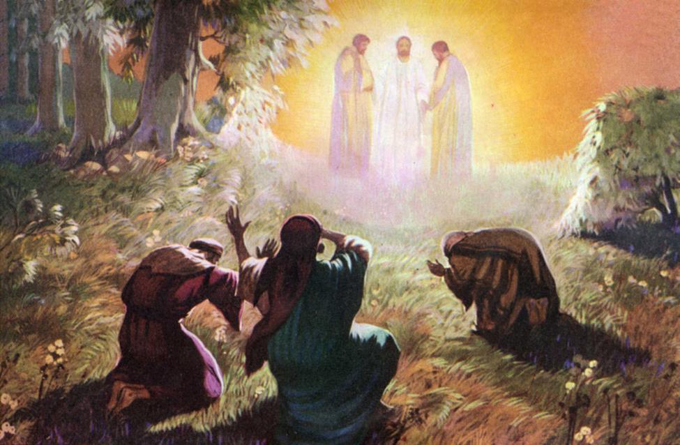 Image 273