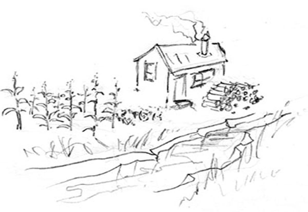 Image 74