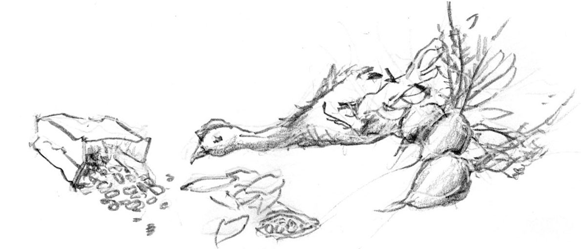 Image 23