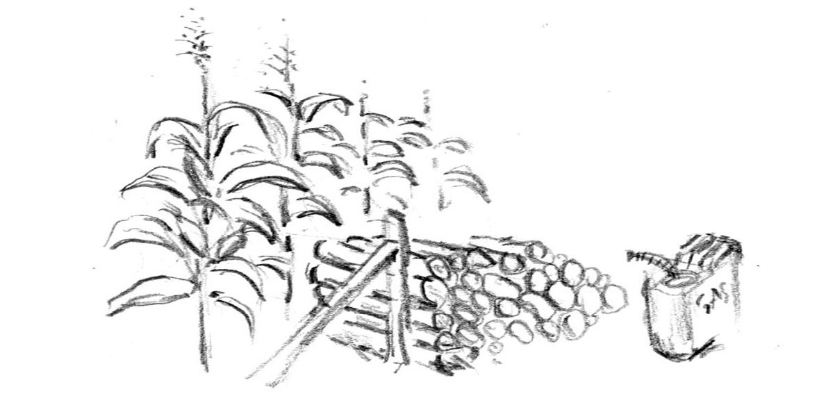 Image 24