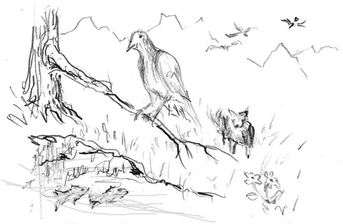 Image 39