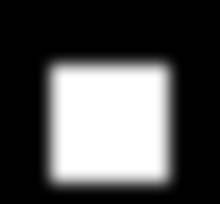 Image 204