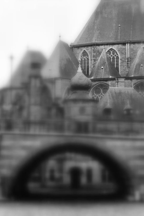 Image 16