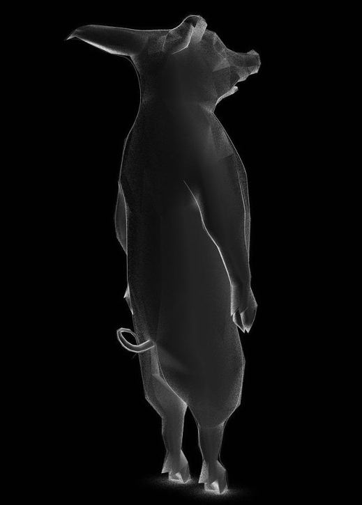 Image 22
