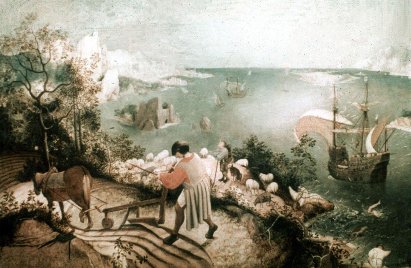 Image 31