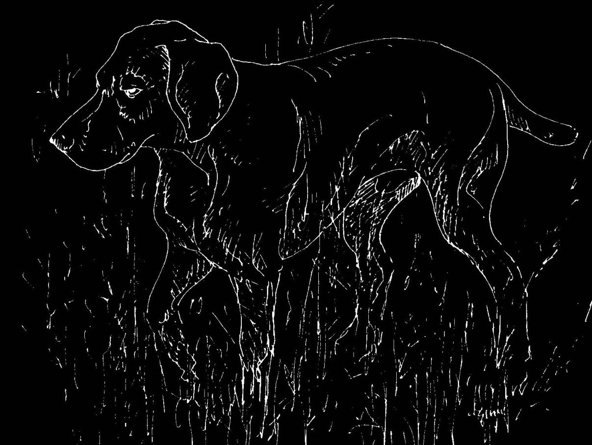 Image 34