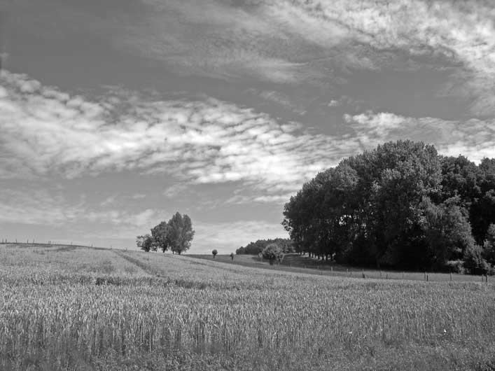 Image 62
