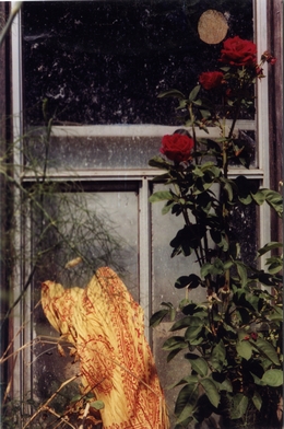 Image 34