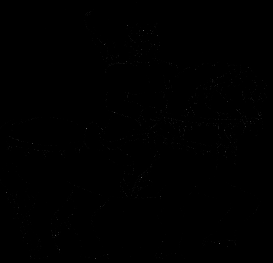 Image 28