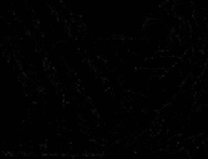 Image 45