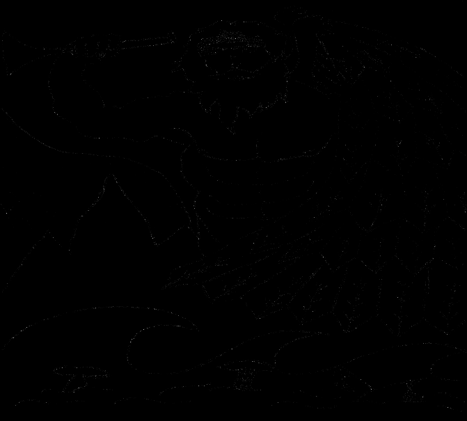 Image 46