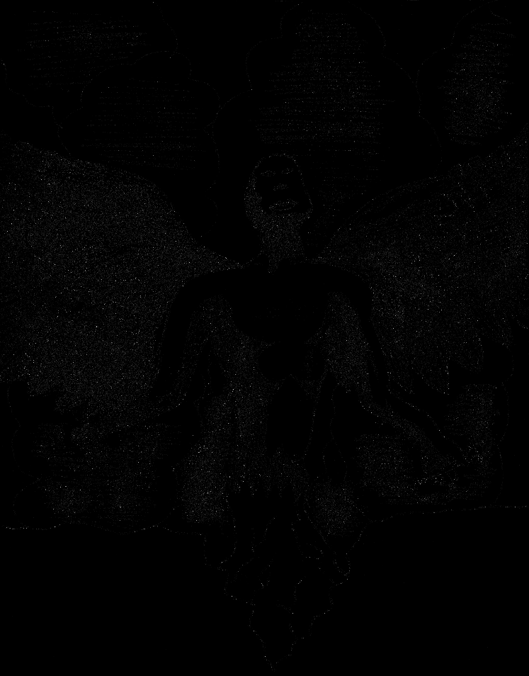 Image 49