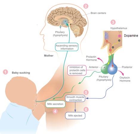 Image 22