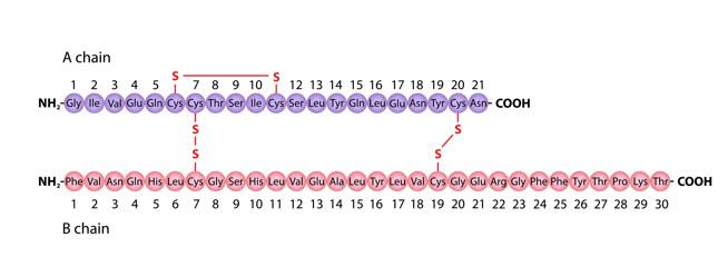 Image 41