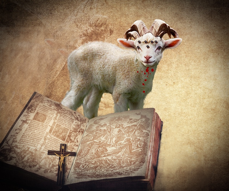 Image 29
