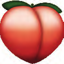 Image 279