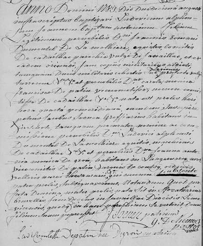 Image 3004