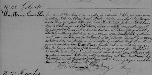Image 3198