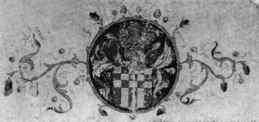 Image 213