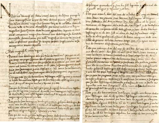 Image 233