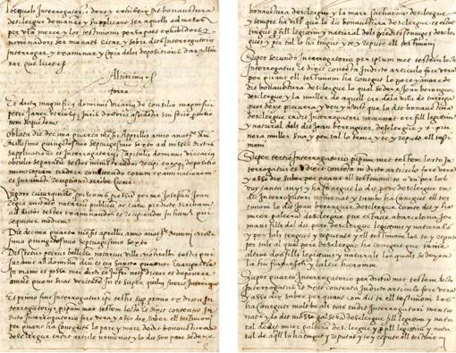 Image 234