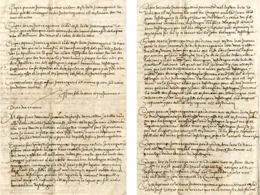 Image 237
