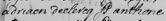 Image 1134
