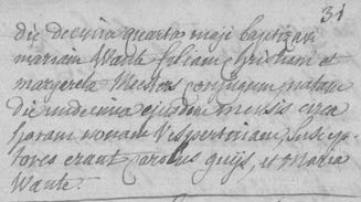 Image 1240