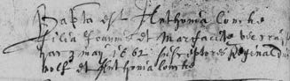 Image 1247