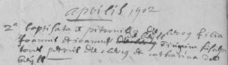 Image 1315
