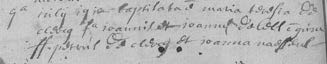 Image 1317