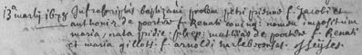 Image 1333